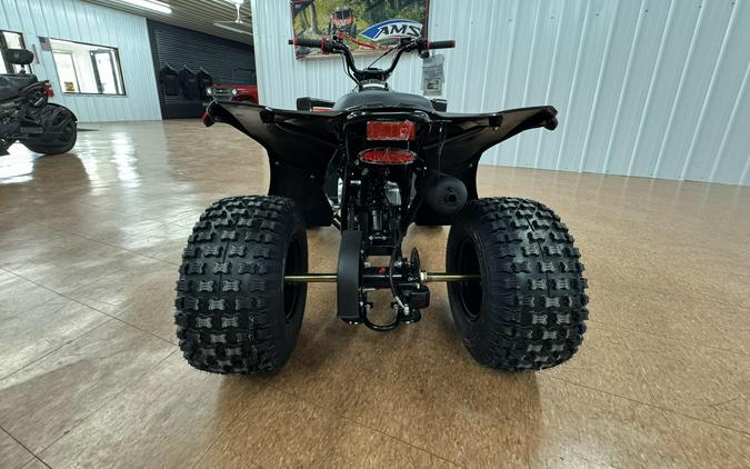 2026 Ice Bear Powersports GRZ125-D
