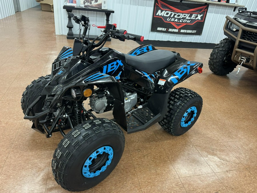 2026 Ice Bear Powersports GRZ125-D