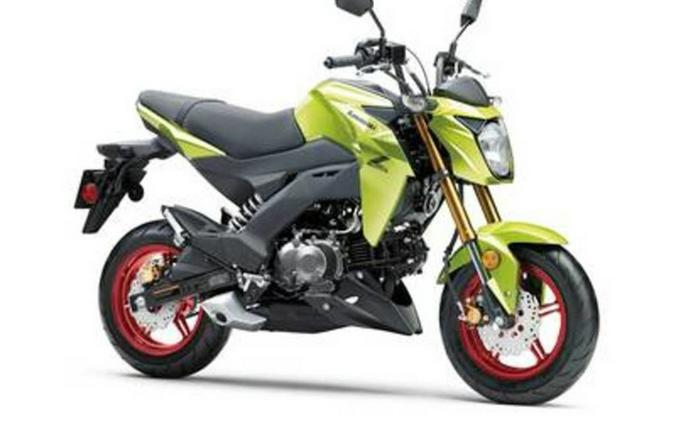 2026 Kawasaki Z125 PRO
