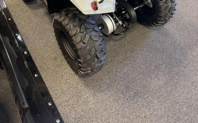 2026 Yamaha Grizzly 110