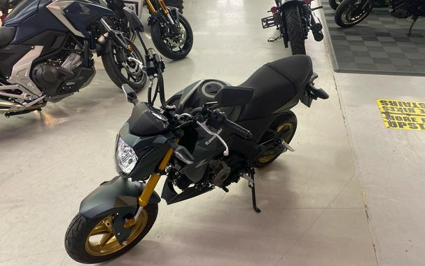 2025 Kawasaki Z125 PRO