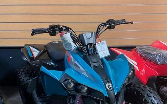 2026 Can-Am® Renegade 110 EFI