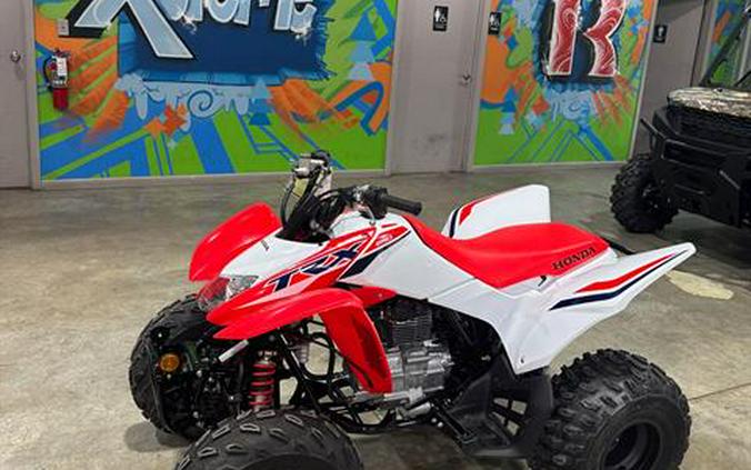 2024 Honda TRX250X