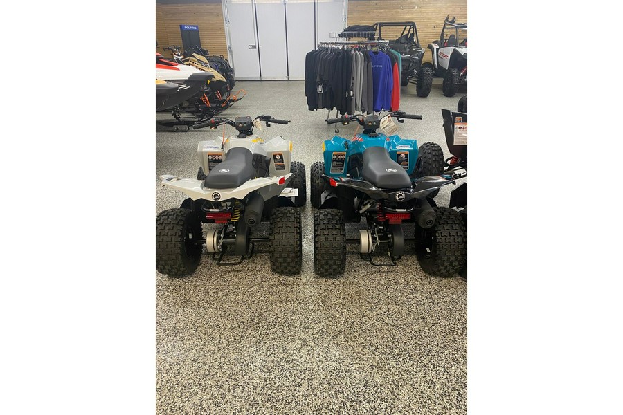 2024 Can-Am Renegade 70 EFI Gray & Yellow / Blue & Black