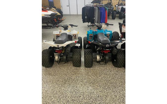 2024 Can-Am Renegade 70 EFI Gray & Yellow / Blue & Black