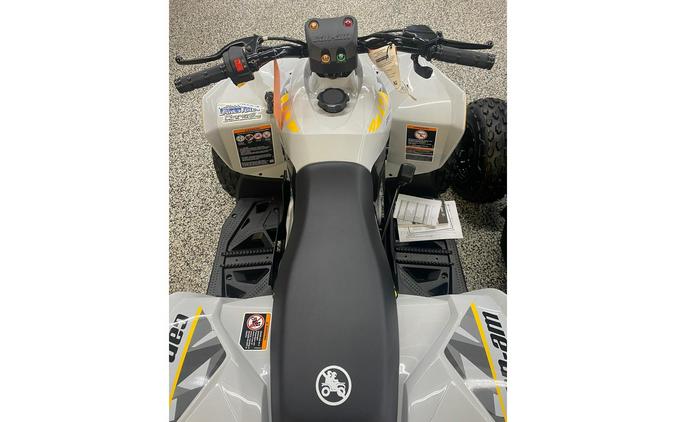 2024 Can-Am Renegade 70 EFI Gray & Yellow / Blue & Black