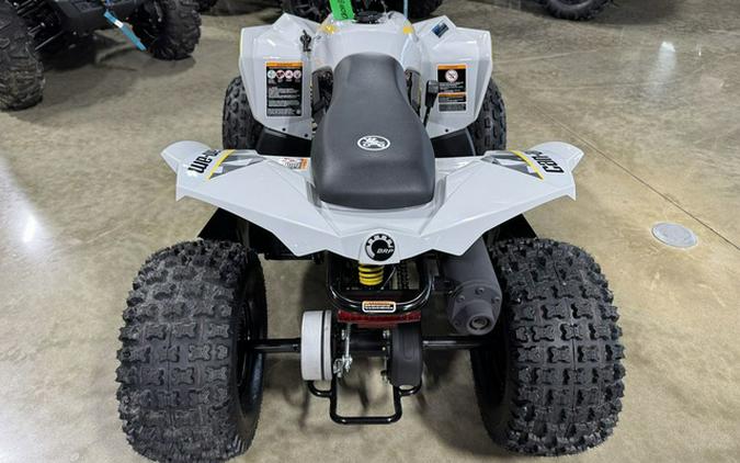 2026 Can-Am RENEGADE 110 EFI