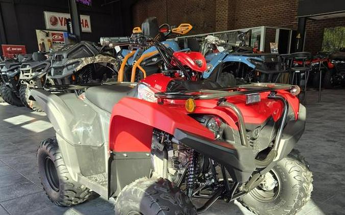 2025 Yamaha Grizzly 110