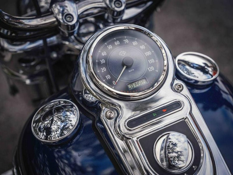 2013 Harley-Davidson® FLD - Dyna® Switchback™