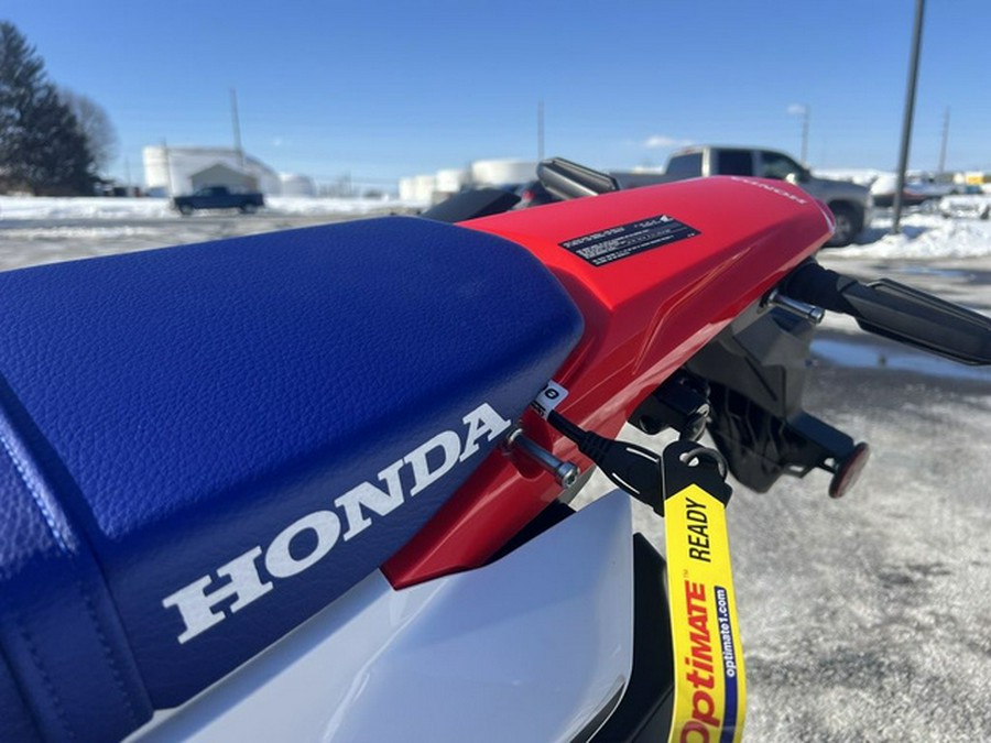 2025 Honda CRF300L Rally ABS