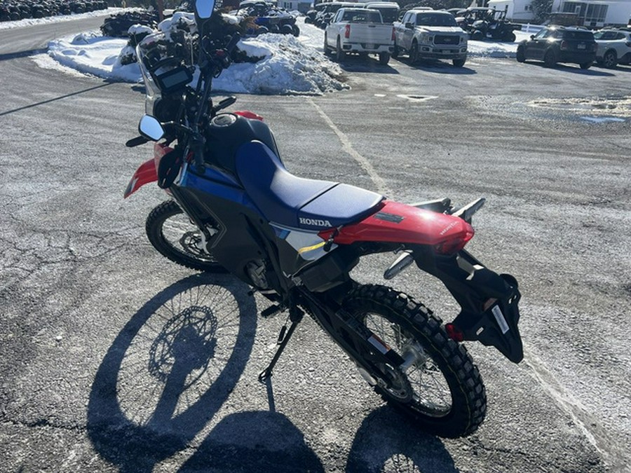 2025 Honda CRF300L Rally ABS