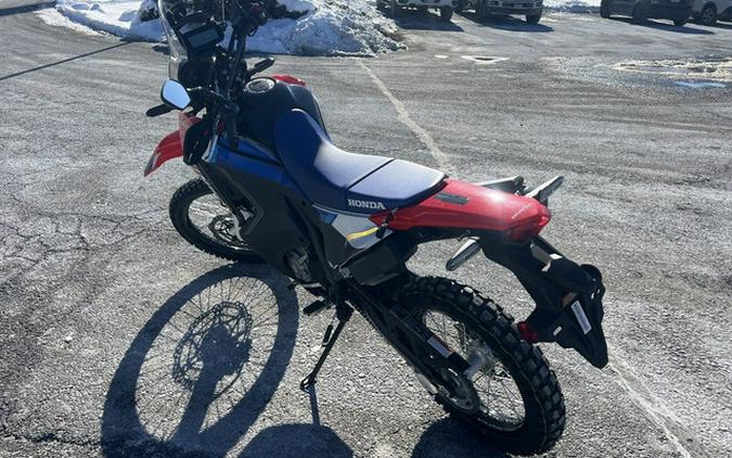 2025 Honda CRF300L Rally ABS
