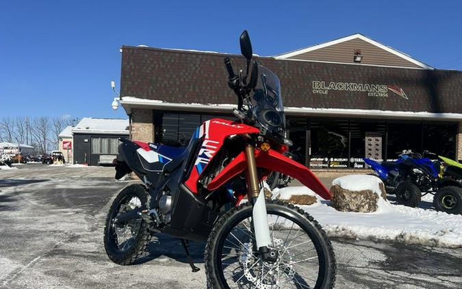 2025 Honda CRF300L Rally ABS