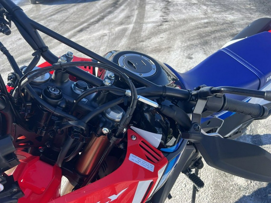 2025 Honda CRF300L Rally ABS