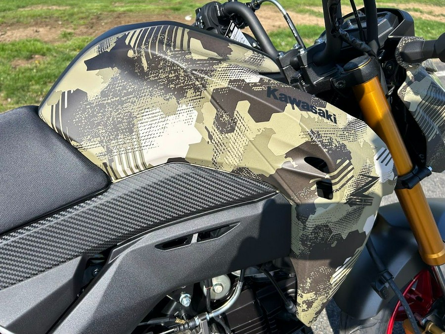 2025 Kawasaki Z125 Pro
