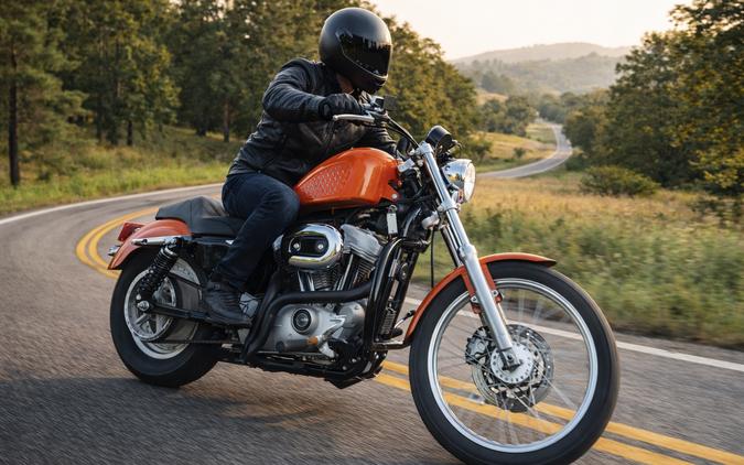 2005 HARLEY-DAVIDSON XL 883C - F418062