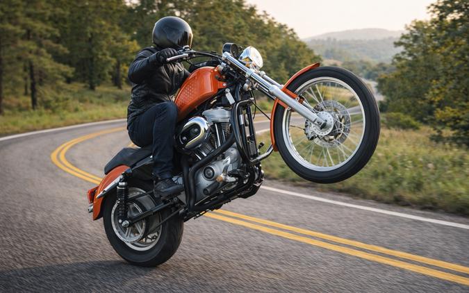 2005 HARLEY-DAVIDSON XL 883C - F418062