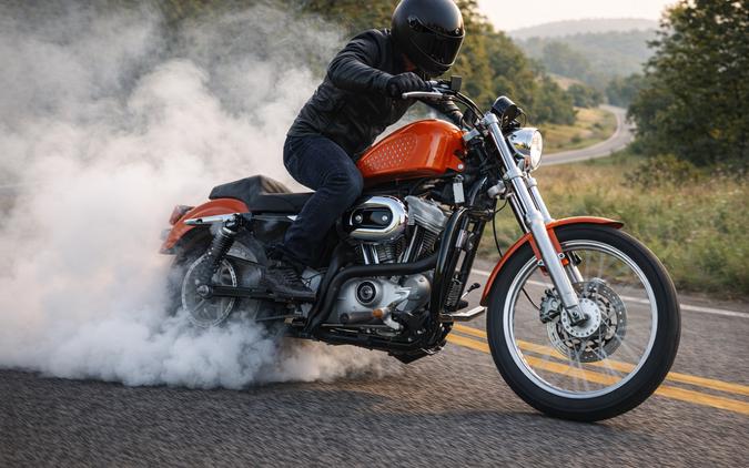 2005 HARLEY-DAVIDSON XL 883C - F418062