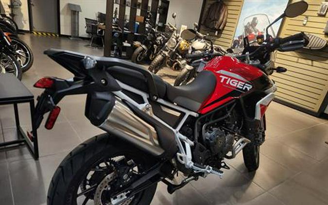 2024 Triumph Tiger 900 GT Aragón Edition