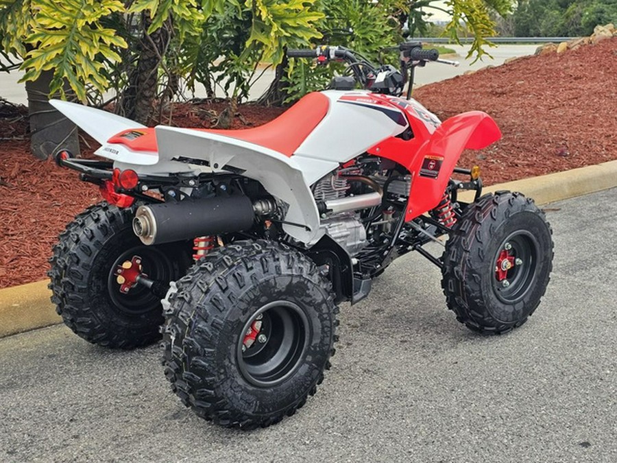 2024 Honda TRX 250X