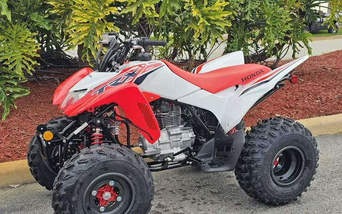 2024 Honda TRX 250X