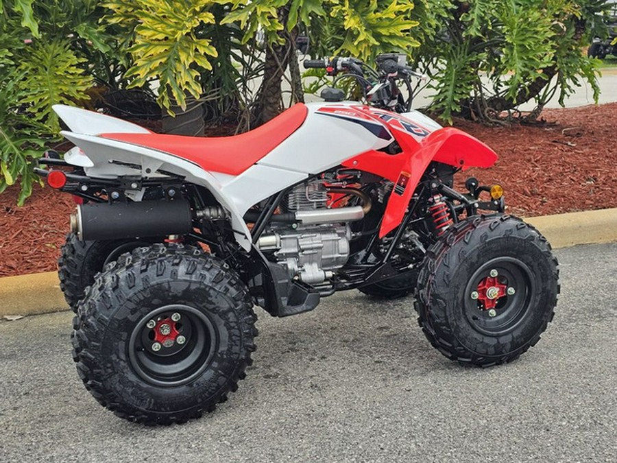 2024 Honda TRX 250X