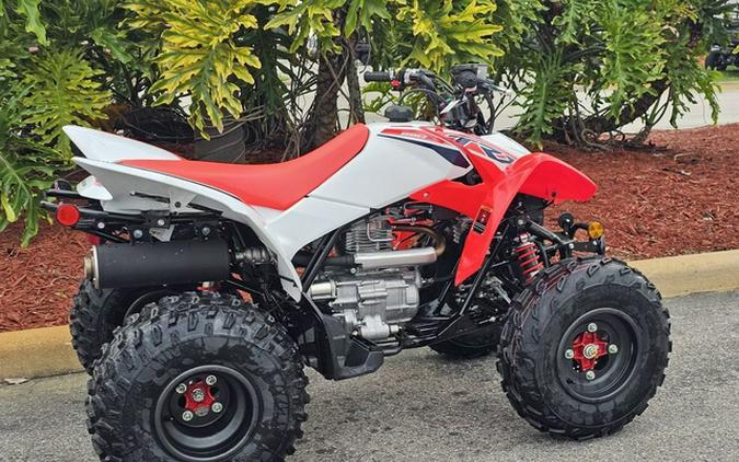 2024 Honda TRX 250X