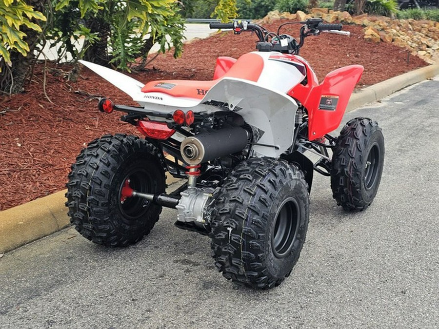 2024 Honda TRX 250X