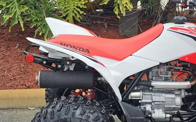 2024 Honda TRX 250X