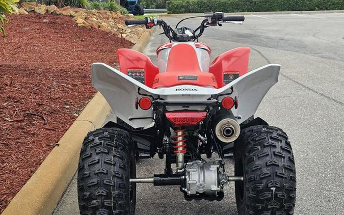 2024 Honda TRX 250X