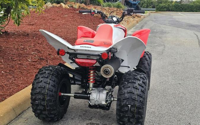 2024 Honda TRX 250X