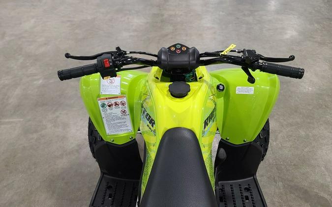 2026 Yamaha Raptor 110