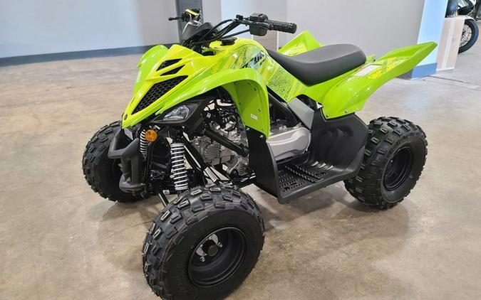 2026 Yamaha Raptor 110