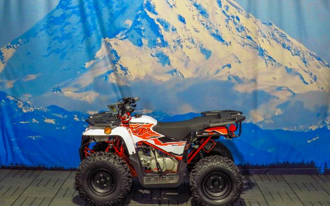 2026 Kayo Bull 125 EFI