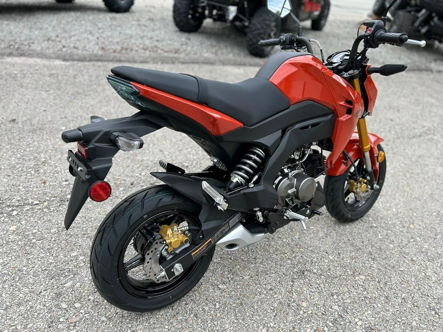 2025 Kawasaki Z125 Pro