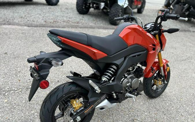 2025 Kawasaki Z125 Pro