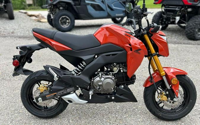 2025 Kawasaki Z125 Pro