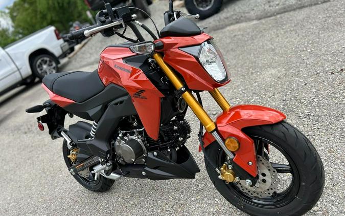 2025 Kawasaki Z125 Pro
