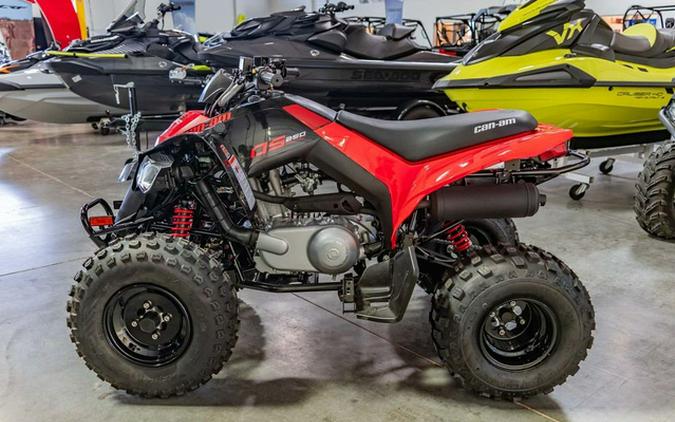 2027 Can-Am DS 250