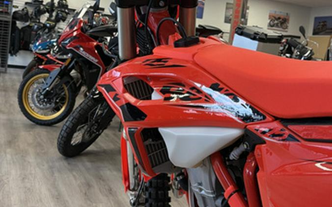 2026 Beta 390 RS