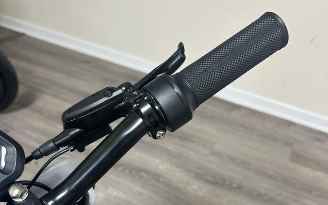 2025 SSR Motorsports SR-E500 Base