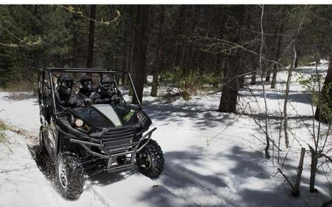2015 Kawasaki Teryx4™