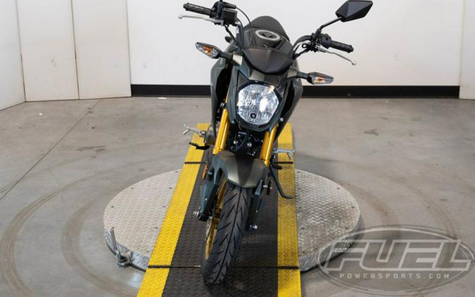 2025 Kawasaki Z125 PRO