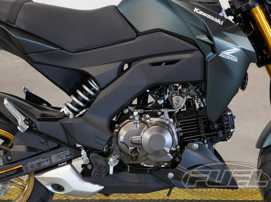 2025 Kawasaki Z125 PRO
