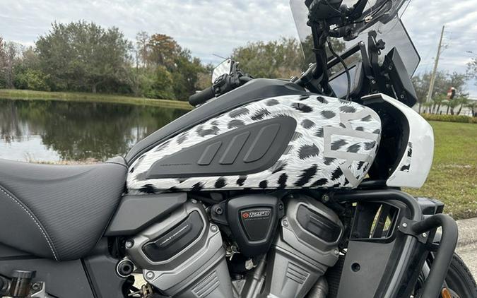 2022 Harley-Davidson RA1250S - Pan America 1250 Special
