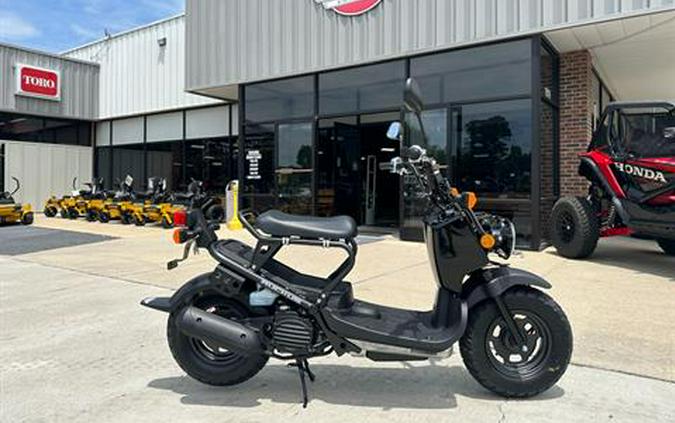 2024 Honda Ruckus