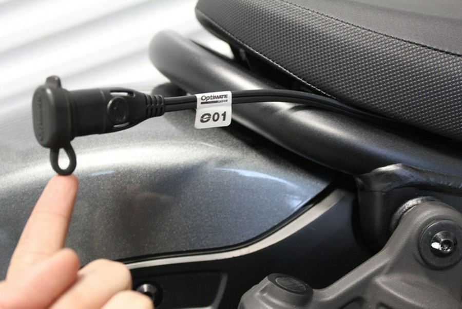 2024 Honda Rebel 1100 DCT