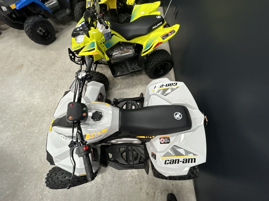 2026 Can-Am Renegade 110 EFI