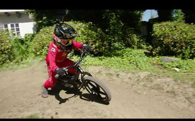 2023 Stacyc 16eDRIVE Brushless