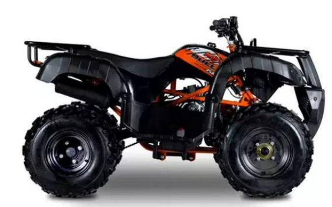 2021 Kayo BULL 150